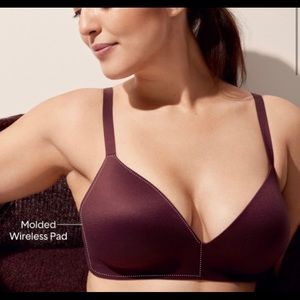 Tommy John Bras size 36 B